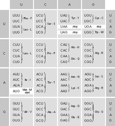 convert 3 letter amino acid code to single letter